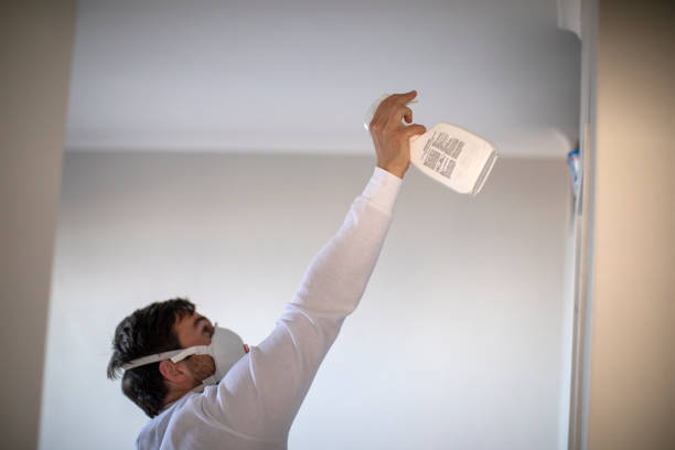 Best Emergency Mold Removal  in Macon, GA