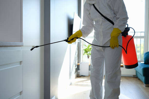 Mold Removal and Inspection in Macon, GA